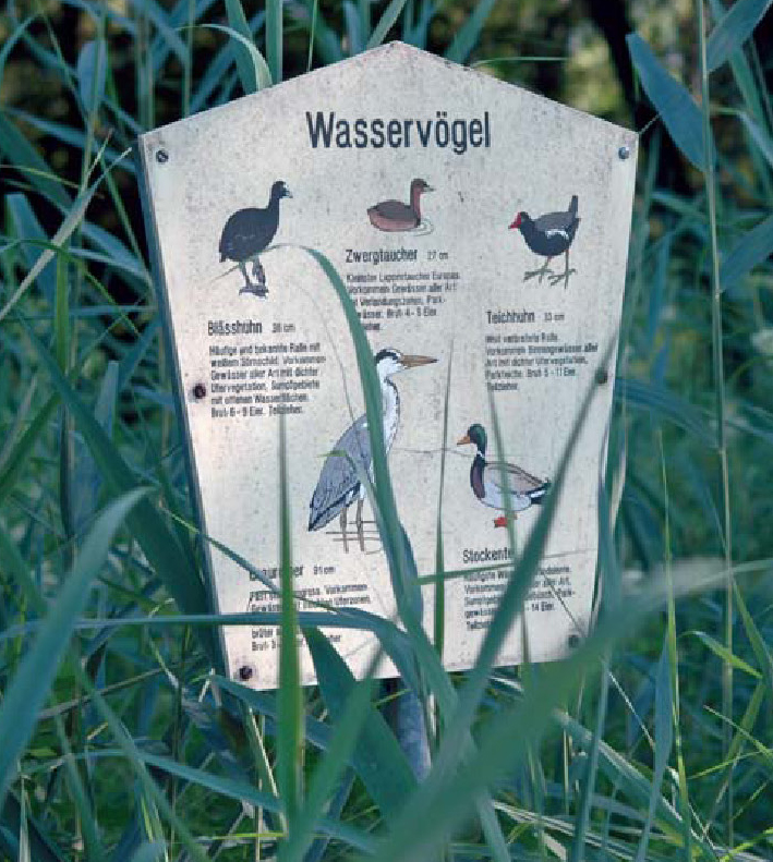 Informationstafel über Wasservögel